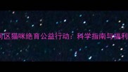 广州天河区猫咪绝育公益行动科学指南与福利政策全