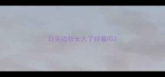 白头边牧长大了好看吗