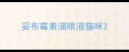 妥布霉素滴眼液猫咪