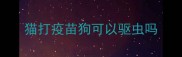 猫打疫苗狗可以驱虫吗