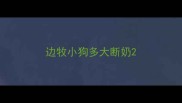 边牧小狗多大断奶