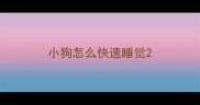 小狗怎么快速睡觉