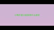 小狗打进口疫苗有什么症状