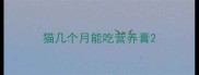 猫几个月能吃营养膏
