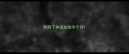 狗狗下体流血快半个月