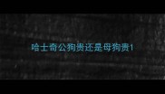 哈士奇公狗贵还是母狗贵