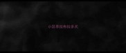 小区养拉布拉多犬