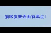 猫咪皮肤表面有黑点