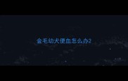 金毛幼犬便血怎么办