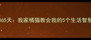 被猫咪治愈的365天我家橘猫教会我的5个生活智慧养宠情感实录