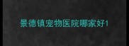 景德镇宠物医院哪家好