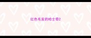 红色毛发的哈士奇