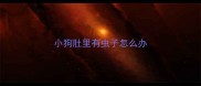 小狗肚里有虫子怎么办