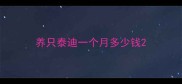 养只泰迪一个月多少钱