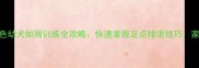 拉布拉多黑色幼犬如厕训练全攻略快速掌握定点排泄技巧家长必读指南