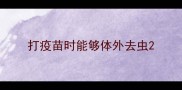 打疫苗时能够体外去虫