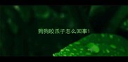 狗狗咬爪子怎么回事
