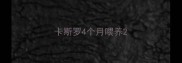 卡斯罗4个月喂养
