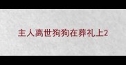 主人离世狗狗在葬礼上