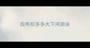 拉布拉多多大下河游泳