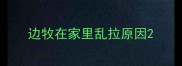 边牧在家里乱拉原因