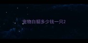 宠物白貂多少钱一只