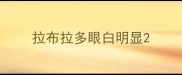 拉布拉多眼白明显