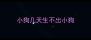 小狗几天生不出小狗