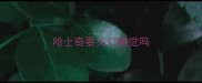 哈士奇要关灯睡觉吗