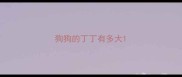 狗狗的丁丁有多大