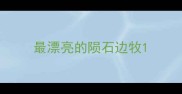 最漂亮的陨石边牧