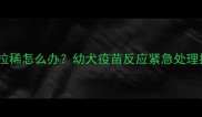 狗狗接种疫苗后呕吐拉稀怎么办幼犬疫苗反应紧急处理指南附护理清单