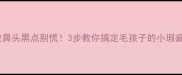 边牧鼻头黑点别慌3步教你搞定毛孩子的小瑕疵