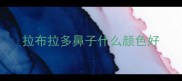 拉布拉多鼻子什么颜色好