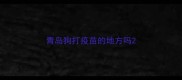 青岛狗打疫苗的地方吗