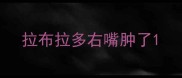 拉布拉多右嘴肿了