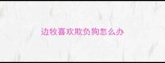 边牧喜欢欺负狗怎么办