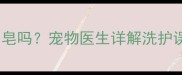 狗狗洗澡能用香皂吗宠物医生详解洗护误区与科学方案