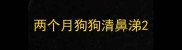 两个月狗狗清鼻涕