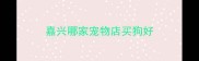 嘉兴哪家宠物店买狗好