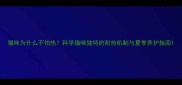 猫咪为什么不怕热科学猫咪独特的耐热机制与夏季养护指南