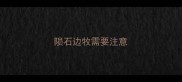 陨石边牧需要注意