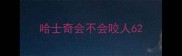 哈士奇会不会咬人6