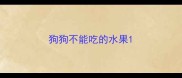 狗狗不能吃的水果