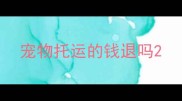 宠物托运的钱退吗