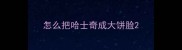 怎么把哈士奇成大饼脸