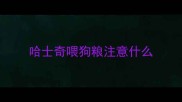 哈士奇喂狗粮注意什么