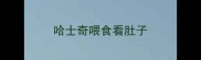 哈士奇喂食看肚子