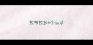拉布拉多6个品系