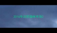 2016年沈阳猫咪市场